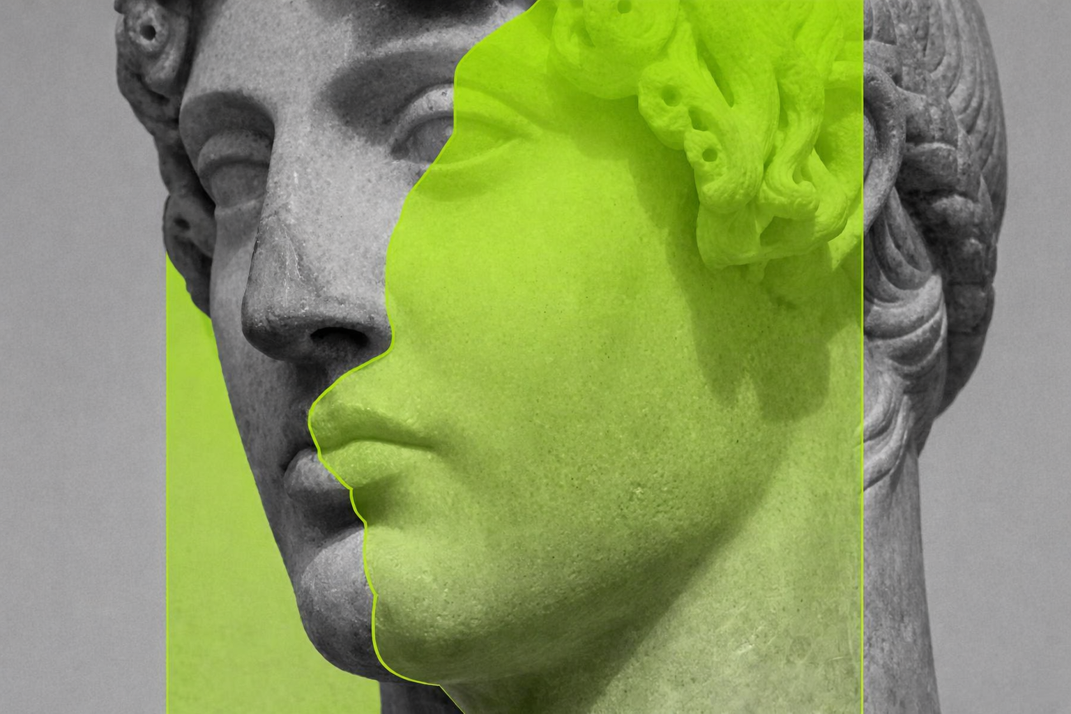 Donde la visión toma forma